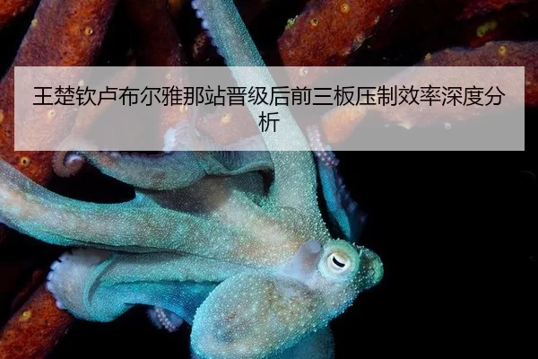 王楚钦卢布尔雅那站晋级后前三板压制效率深度分析